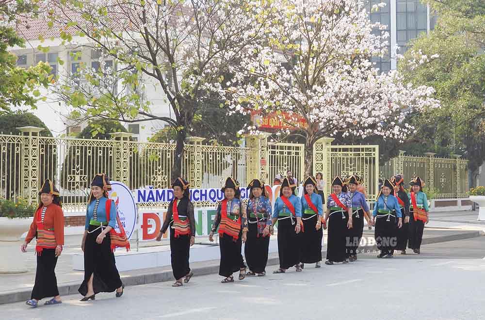 Điện Biên tổ chức Lễ hội Hoa Ban sớm hơn nửa tháng